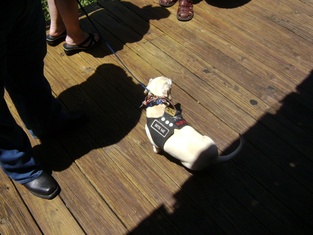 Clark's 4-20-08 035.jpg